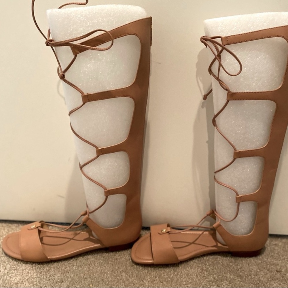 Michael Kors Sofia Gladiator Sandals